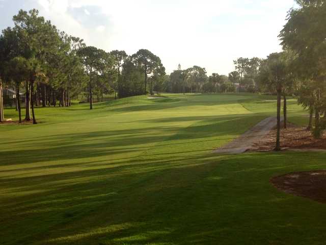 Royal Palm Country Club Reviews Course Info Golfnow