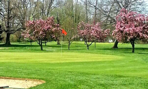 A view of a green at Elms Country Club.