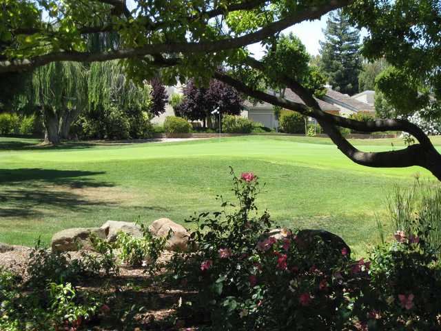 A view of a green at Pruneridge Golf Course.