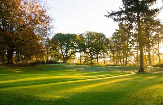 View of a green at Swaffham Golf Club