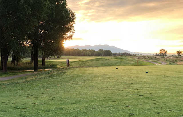 A sunset view of a tee at Cattails Golf Club.