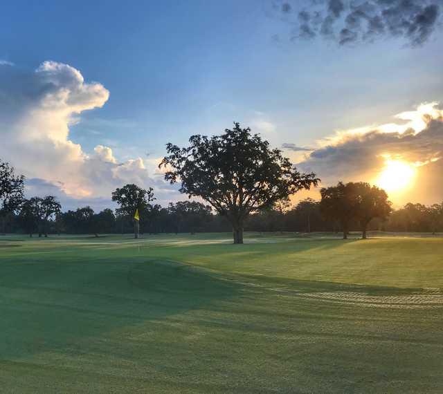 View of a green at The Country Club of Orlando