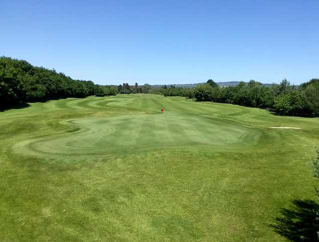 View of a green at Ballyearl Golf and Leisure Centre