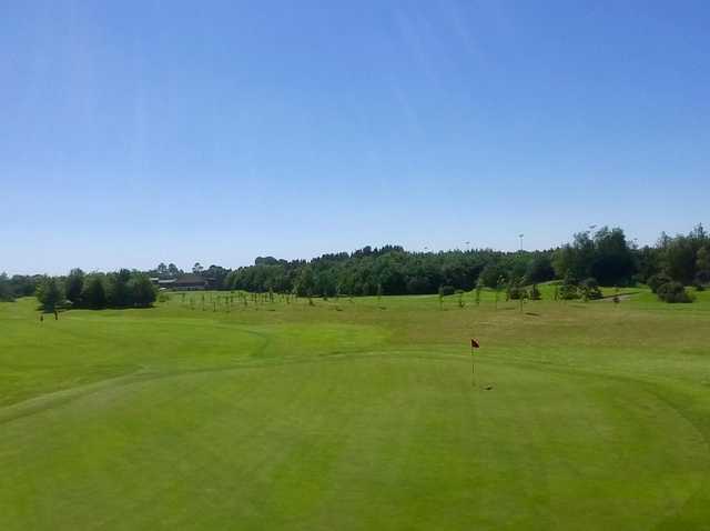 View from a green at Allen Park Golf Club