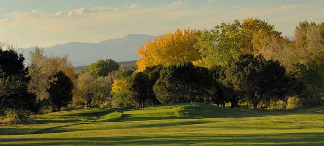 A view of a tee at Quail Run Golf Course.