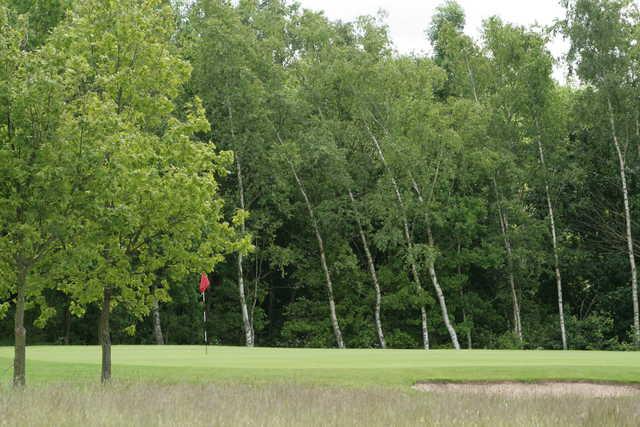 View of a green at South Chesterfield Golf Club