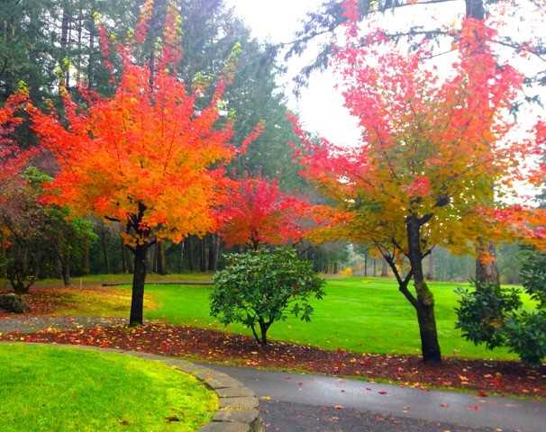 Fall view from Lake Limerick Country Club