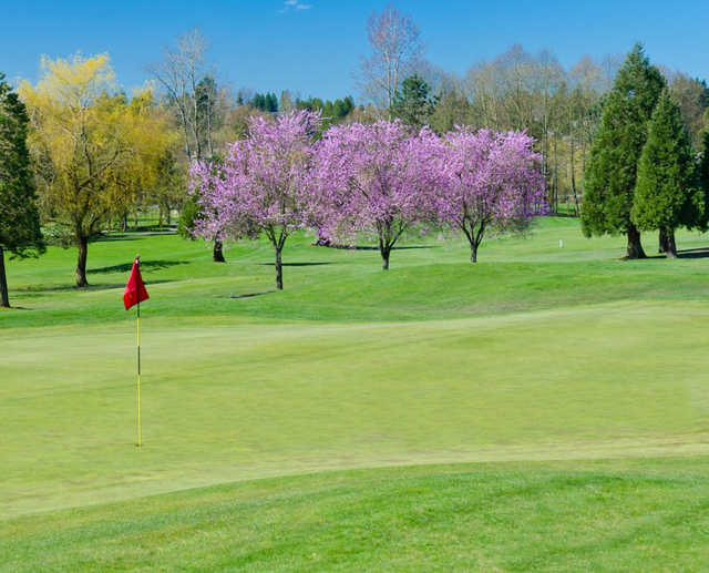 A spring day view of a hole at Miami Springs Golf & Country Club.