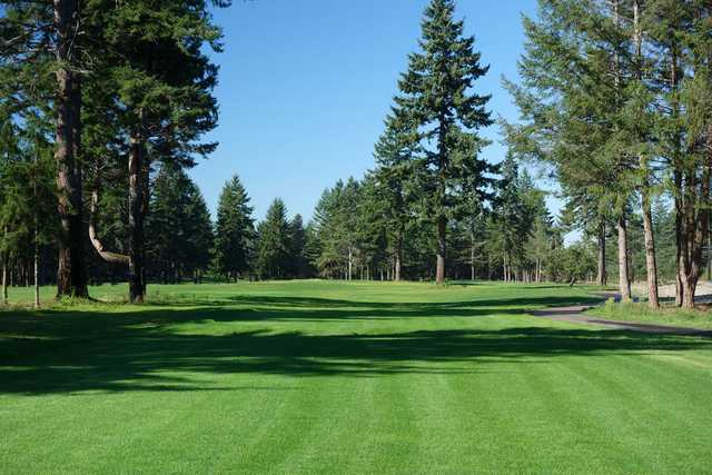 A view from a fairway at American Lake Veterans Golf Course.