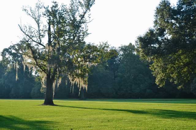 A view from The Pines at North Park