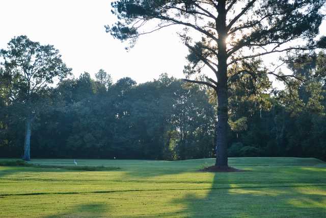 View of a green at The Pines at North Park