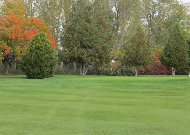 Beaverton Golf Club Tee Times - Beaverton ON