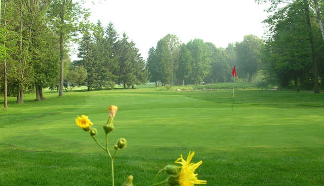 A sunny day view of a green at Bowmanville Golf and Country Club.
