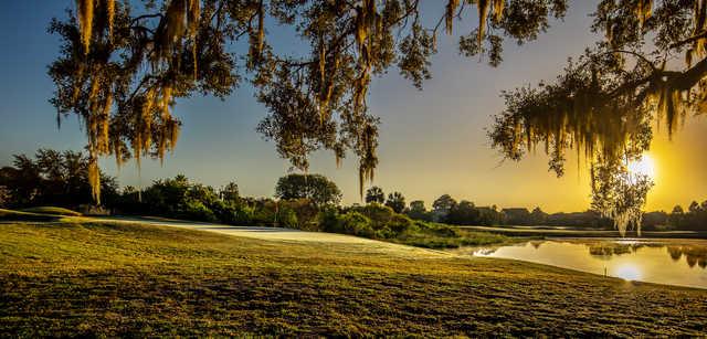 Looking back from a green at Kissimmee Bay Country Club.