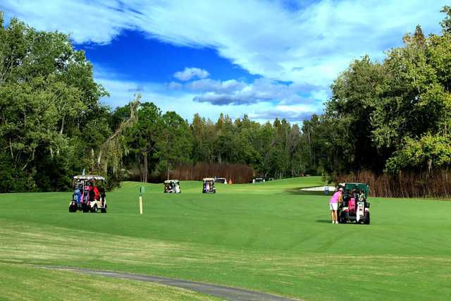 Big Cypress Golf Club: North Executive Tee Times - Lakeland FL