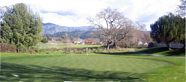 A view of a green at Vintner's Golf Club.
