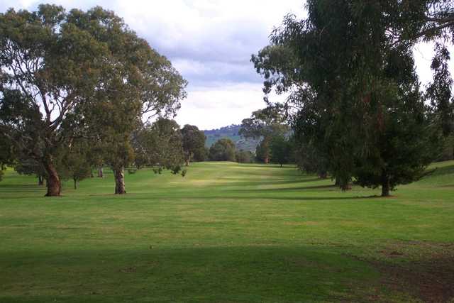 Harden Country Club Tee Times - New South Wales | GolfNow