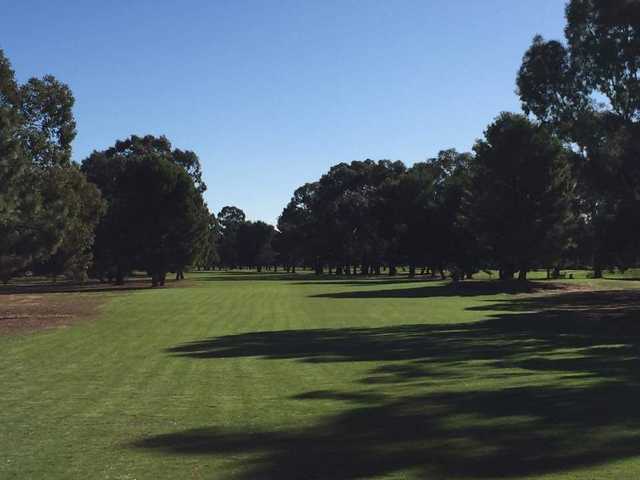 Rochester Golf Club