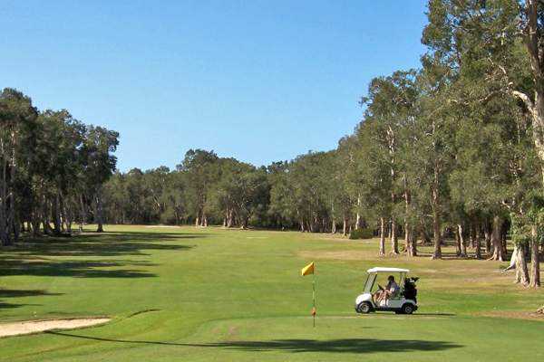 Toukley GC: #7