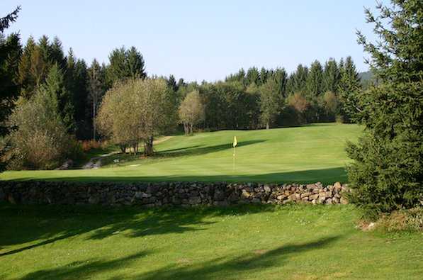 A view of green #11 at Oberzwieselau Golf Park