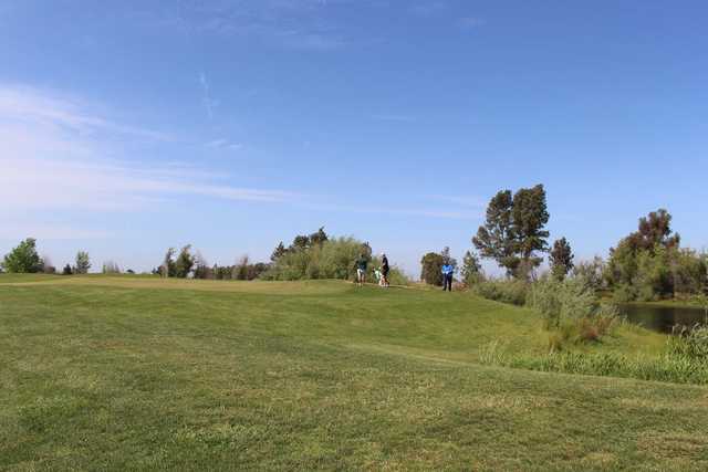 A view of a hole at Coyote Run Golf Course.