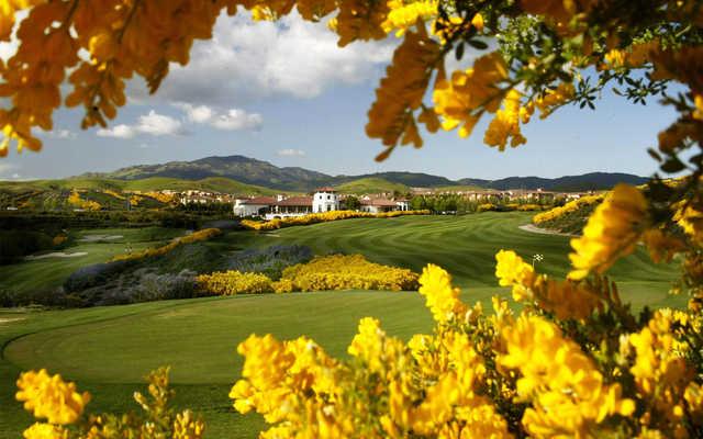 A view of a fairway at The Bridges Golf Club.