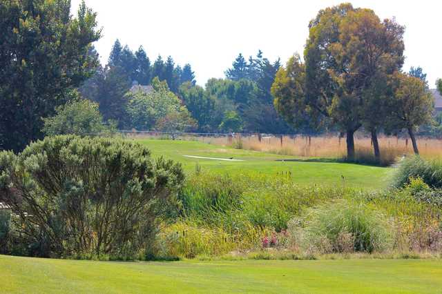 A view of a tee at Rooster Run Golf Club.
