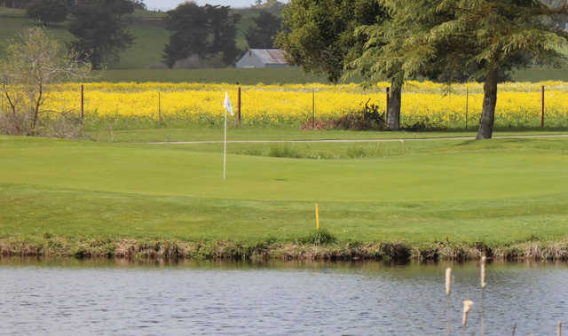 A view of a hole with yellow flowers in background at Rooster Run Golf Club.