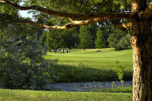 A view of a hole at Meadowbrook Golf Course.