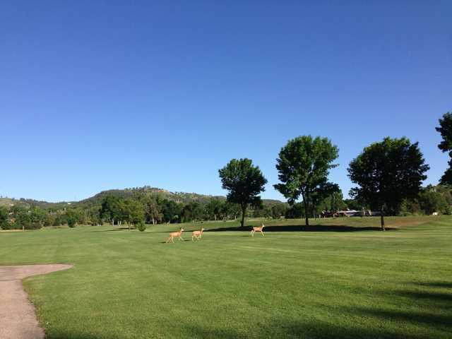A view of a fairway at Meadowbrook Golf Course.