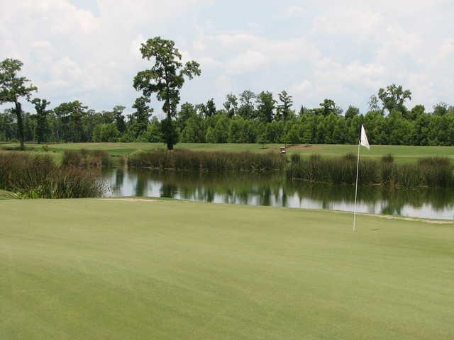 The greens at TPC Louisiana are relatively small, but well-conditioned and fast, with chipping areas between them and greenside bunkers. (Photo by T. McDonald)