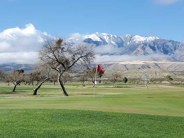 Mt Graham Golf Club Tee Times Safford AZ Mt Graham Golf Club Tee Times Safford AZ