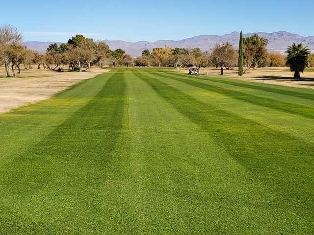 Enjoy No Fees At Mt Graham Golf Club Safford AZ TeeOff Enjoy No Fees At Mt Graham Golf Club Safford AZ TeeOff