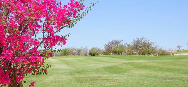 A view from One&Only Palmilla Golf Club.