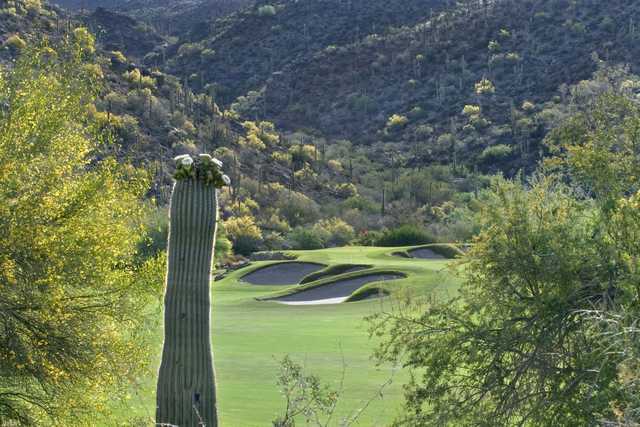 View of the 14th hole from the North course at Gallery Golf Club.
