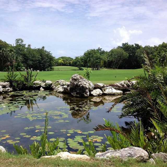 Puerto Aventuras Beach Marina and Golf Resort - Reviews & Course Info |  GolfNow