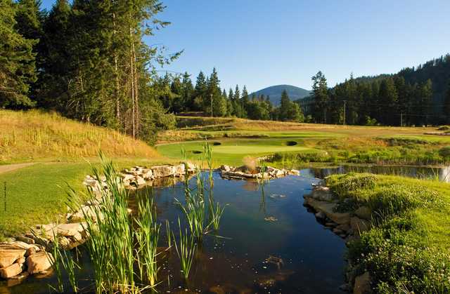 A view from Shuswap National