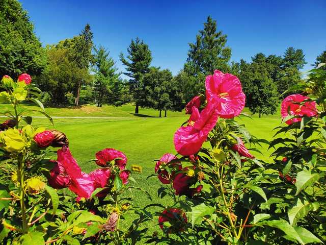 A view of the practice putting green at Maple Moor Golf Course.