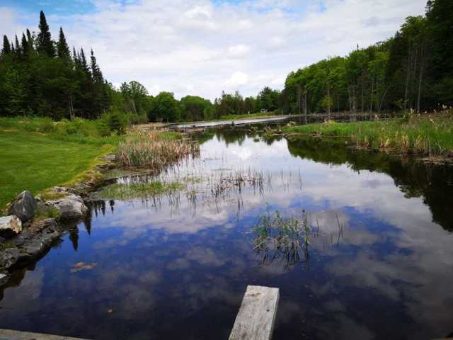 A view from Blue Heron Golf Club.