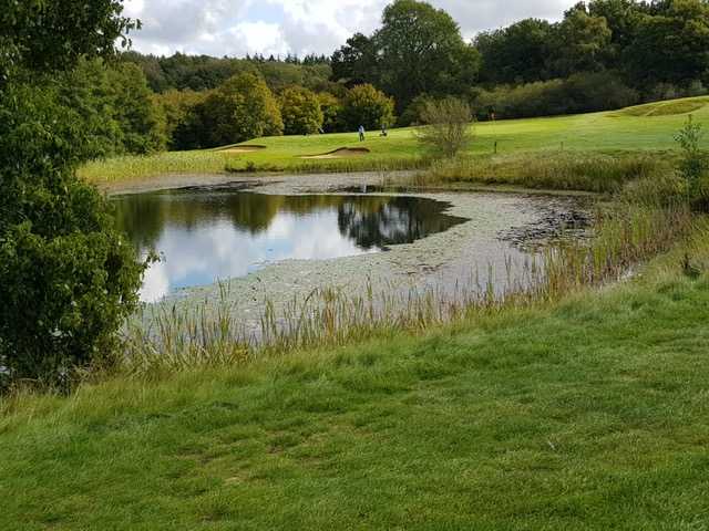 View of a pond at Dummer Golf Club.