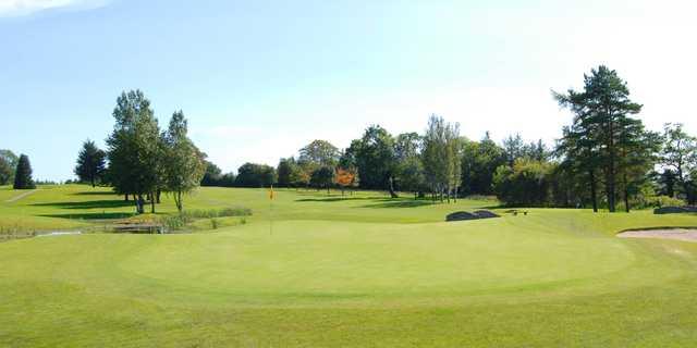 A sunny day view of a green at Roscommon Golf Club.