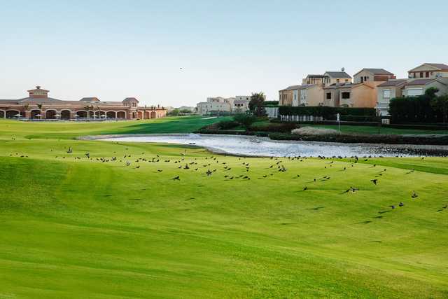 A sunny day view from Madinaty Golf Club.