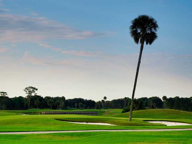 A view from Jacksonville Beach Golf Club.