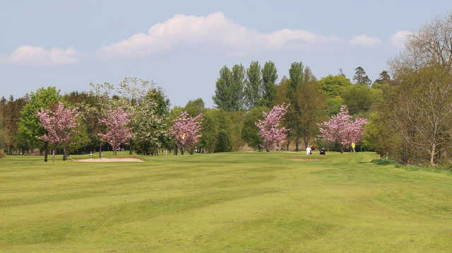 A perfect spring day view of a green protected by blossom trees at Omagh Golf Club.