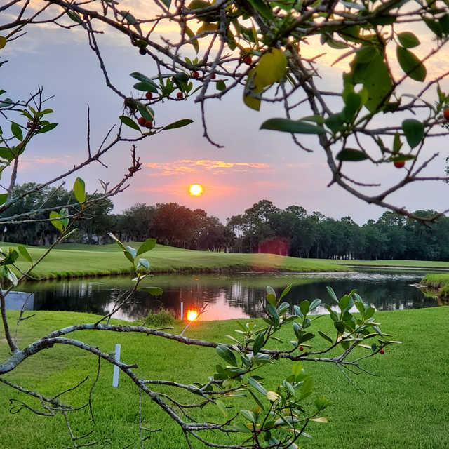 A view from Heron Creek Golf and Country Club.