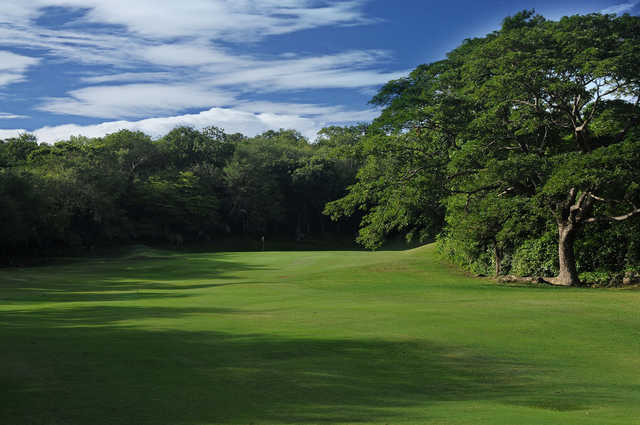 View of the 6th green from Caymanas Golf & Country Club.