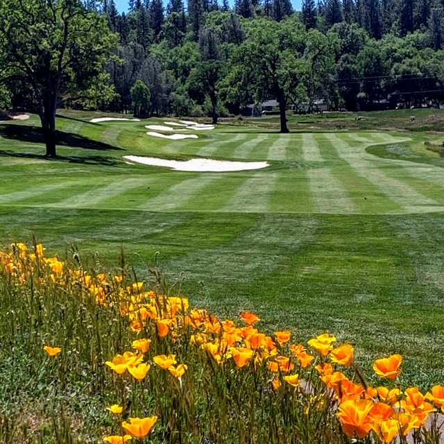 A view from DarkHorse Golf Club.