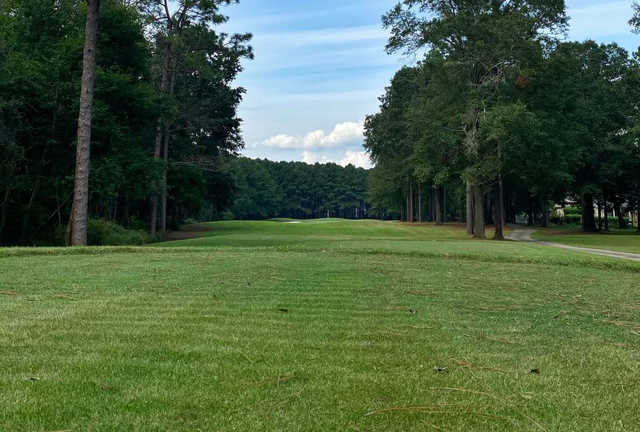 A view from the 3rd tee at The Bridges from Tartan Pines.