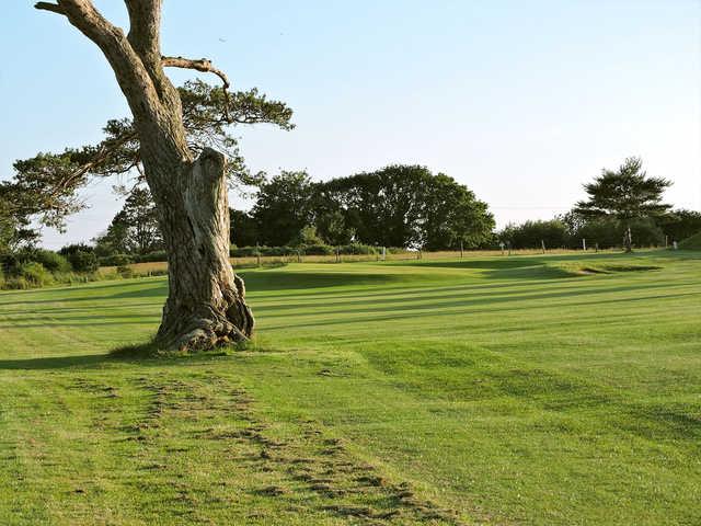 A view of a hole at Wareham Golf Club.