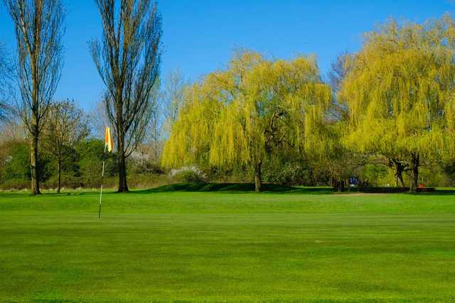 A sunny day view of a hole at Maylands Golf Club.